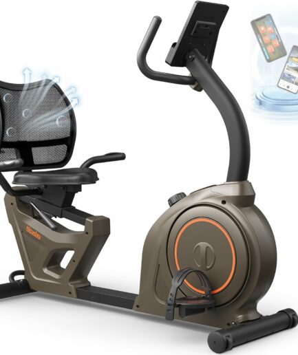 Niceday Recumbent Exercise Bike