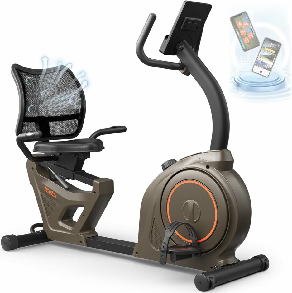 Niceday Recumbent Exercise Bike